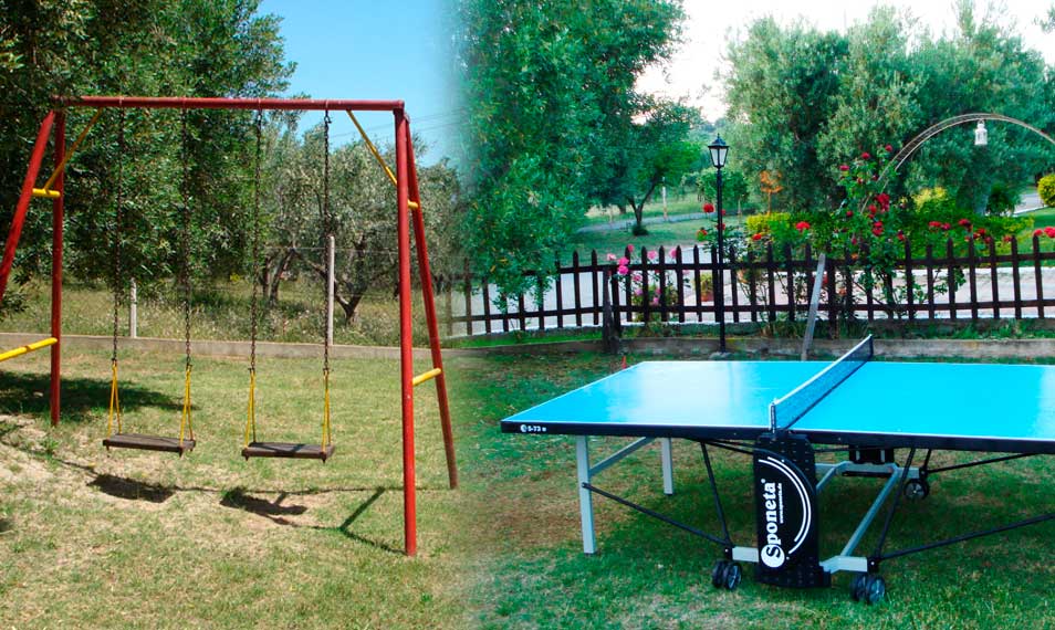 basket asteris